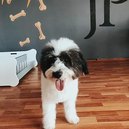 Jordanpackkopekoteli